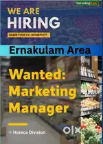Marketing Manager -HORECA