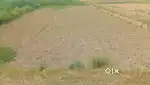For selling best plot