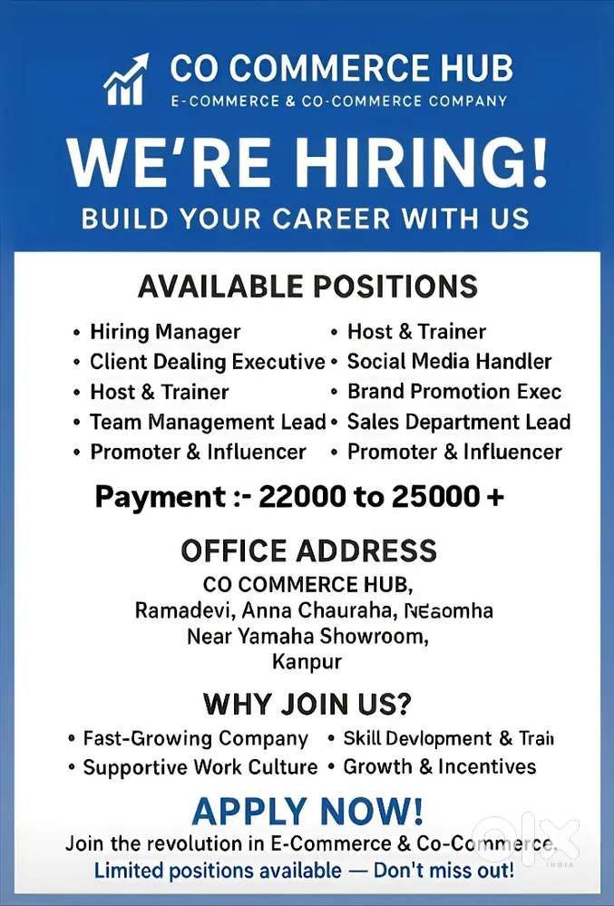 Professional work, official work