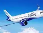 Full time jobs in IN INDIGO AIRLINES PICK an DROPPING SERVICE for