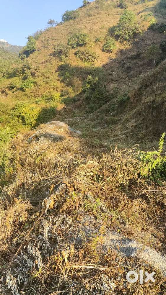 Bhatta Fall 3 Bigh Area