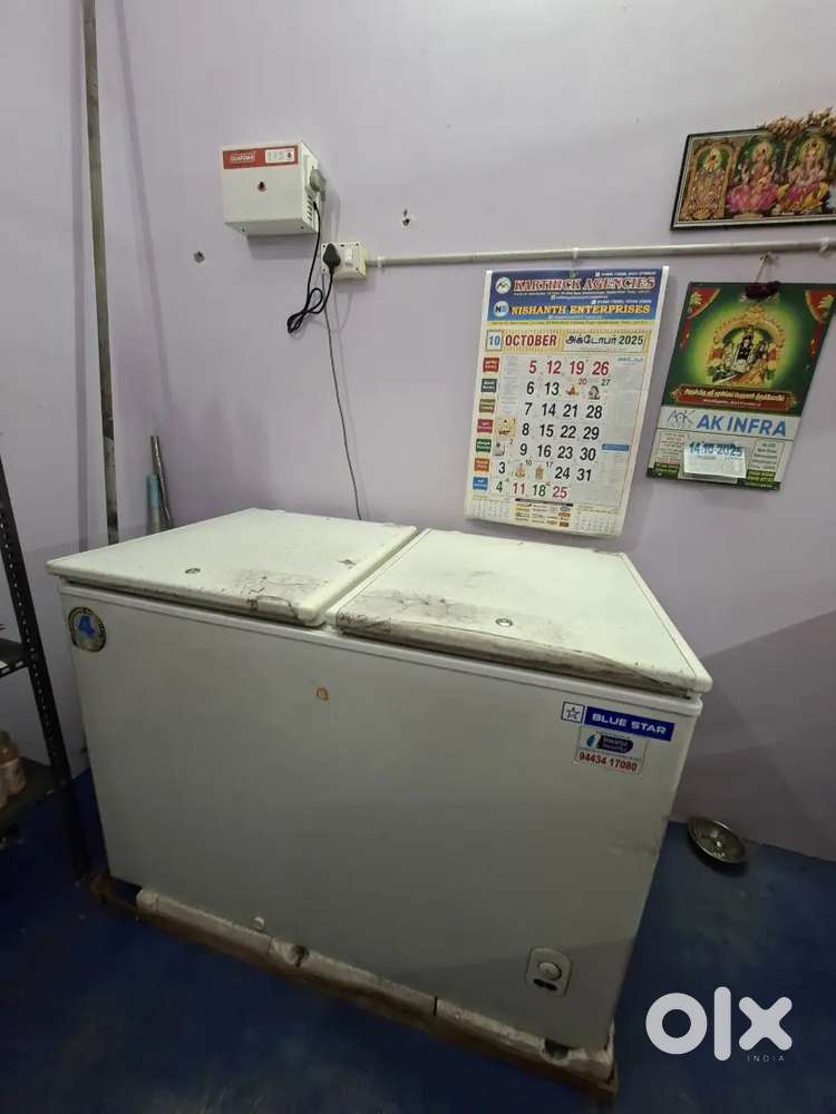 300L double door blue star freezer