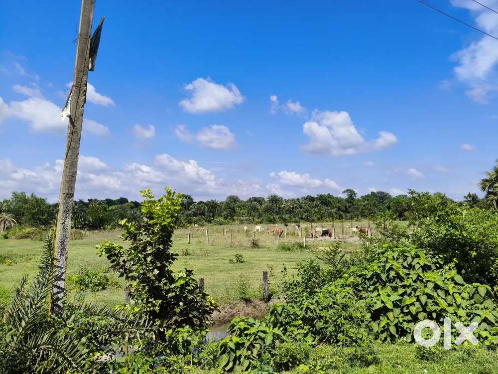 House Flat Land Plot Buy and Sell