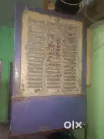 3  year old cooler