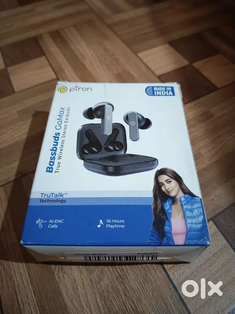 pTron Bassbuds GoMax