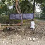 Residential Plot for Sale in Modi Xerox Colony, Rampur, UP