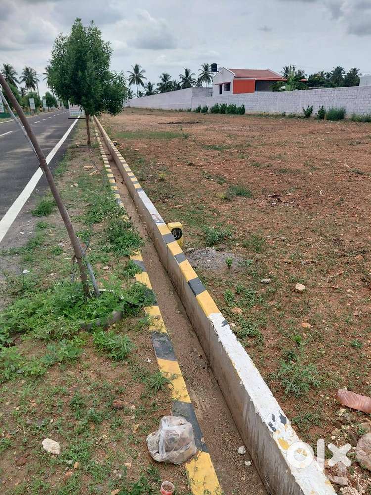 NOV 2 LAUNCHING OFFER PRICE 7.75/CENT