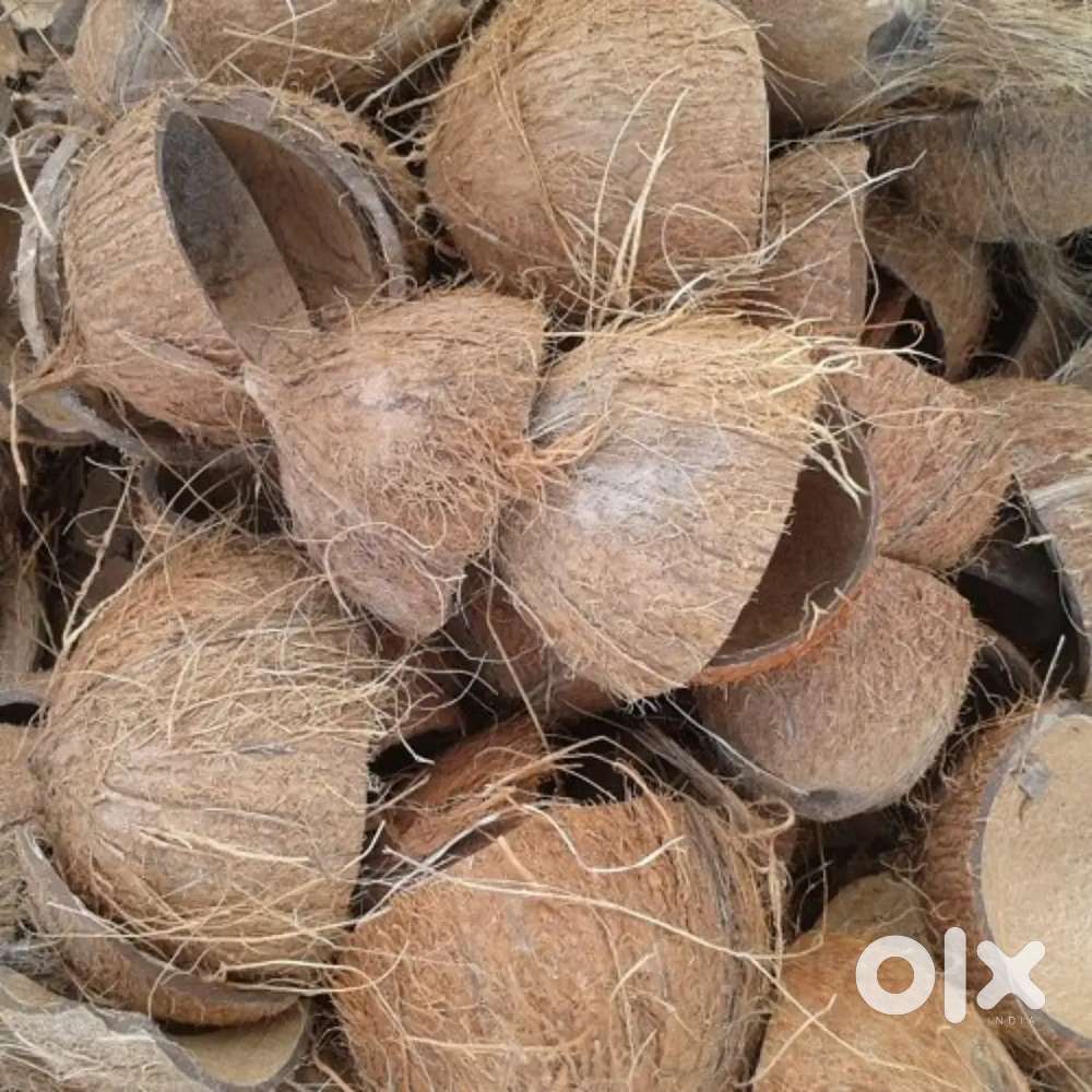 Coconut Shells/Chiratta (2) for sale in Irinjalakuda