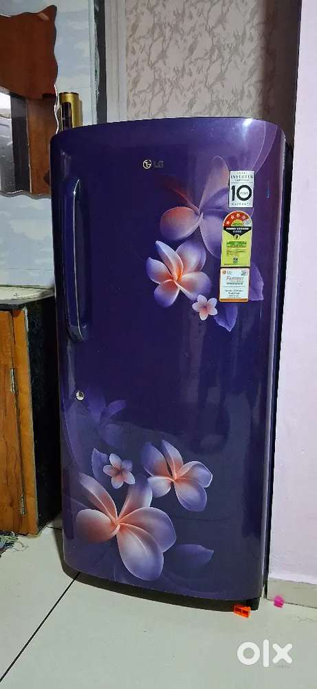 LG 215 Ltr Freeze