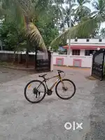 Bicycle special edition