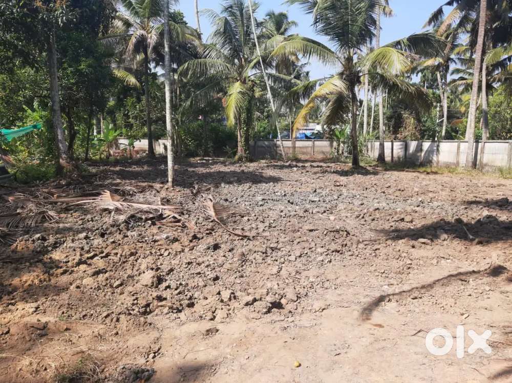 Plot for rent - 15 cent