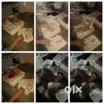 Delivery boy pizza maker order taker