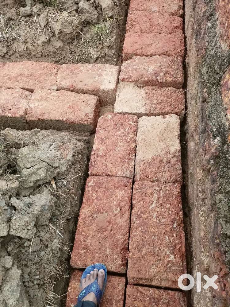 Clean Gharbari Plot of self for immediate sale