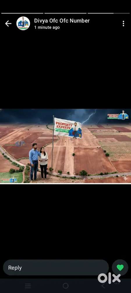 Property expert never giveup in brand