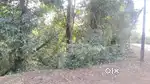 Agricultural land for sale near donderangadi 574101