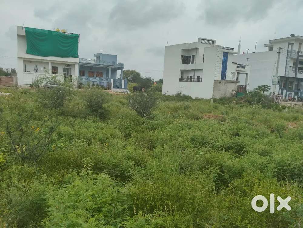 Sunshine Nawalgarh road sikar