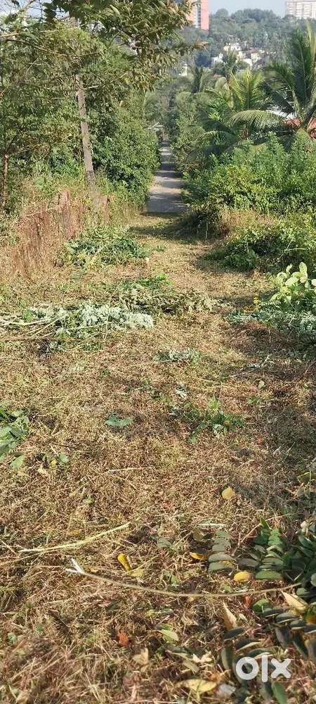 21 cents land at Shaktinagar, Mangalore