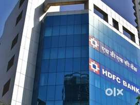 Job requirements in hdfc bank
