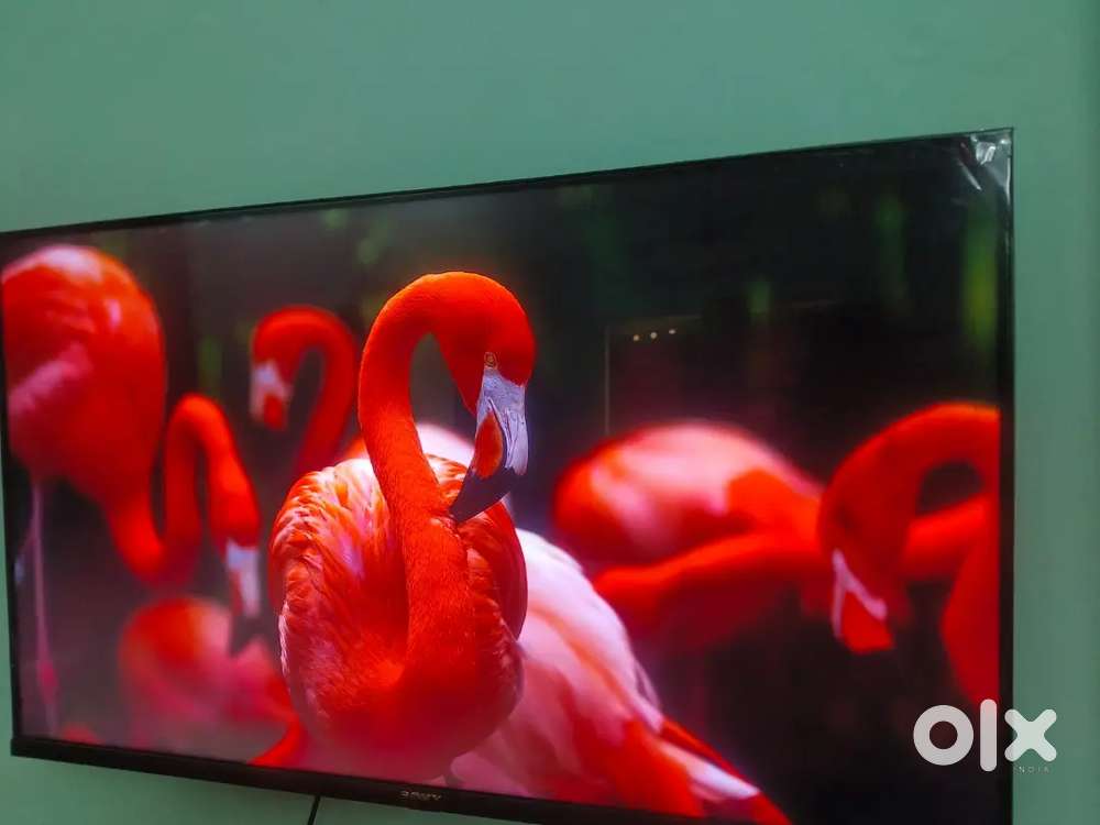 Today offer just 6999 LED tv wholesale price