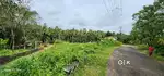 60 cent square plot for sale