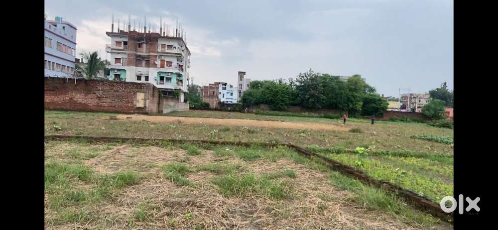 Urgent need of money(Price is Negotiable)