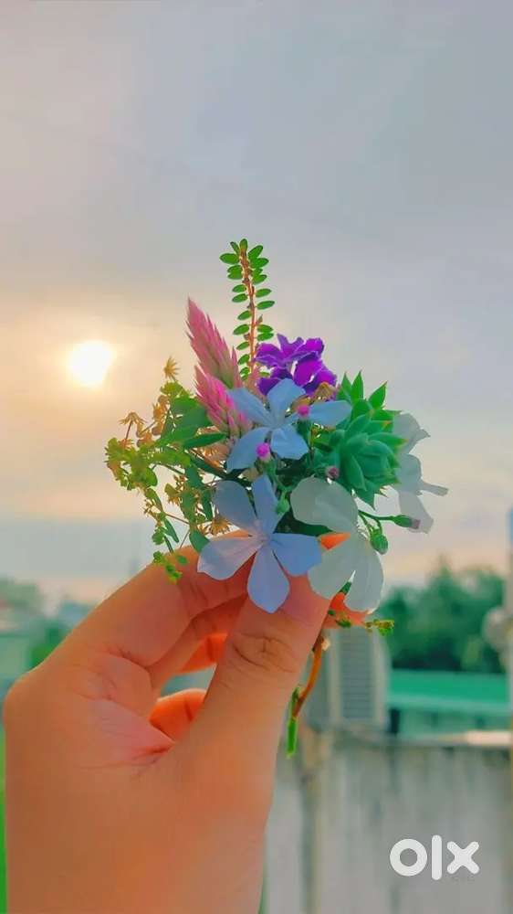 Agar Kisiko Meesho Par Listing Karwani Ho To Contact Kre..