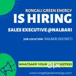 Sales Executive