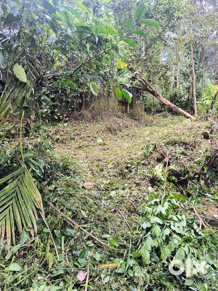 12 cent land for sale for house plot