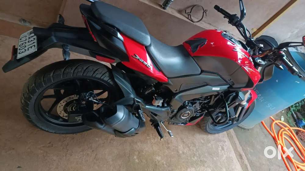 Dominar 250 Red mint condition showroom maintenance
