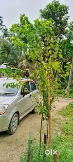 Chevrolet Spark 2013 Petrol 85000 Km Driven