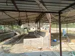 FOR RENT DIARY FARM GOATS NEAR ANAKAPALLI