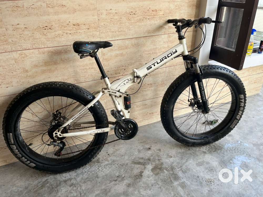 Sturdy Fat Bikes