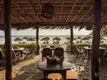 REQUIRED CHEF/COOK IN Mobor BEACH GOA গোয়ার মোবর বিচে একজন শেফ/