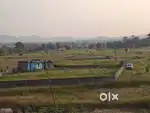 49 Kattha CNT FREE Land