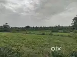 8 acres of agriculture land  call 93623 us on10649