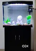 1 year old aquarium for sale