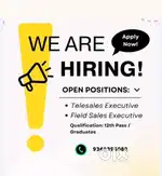 Telesales executive and field sales executive