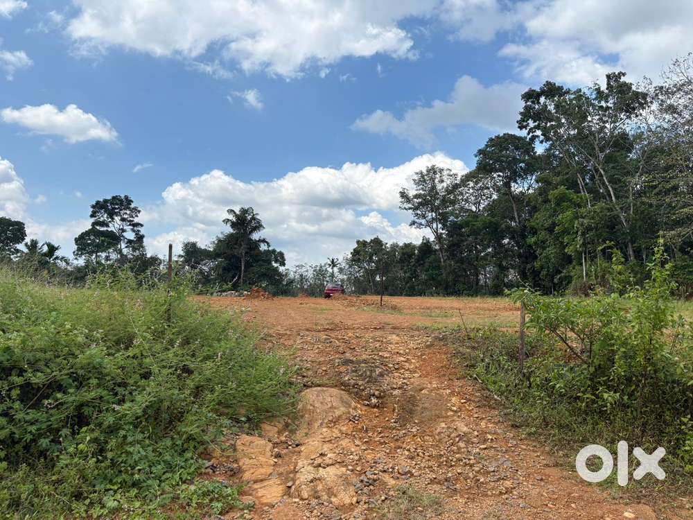 Premium Residential Land for Sale – Lakkattoor, Kottayam