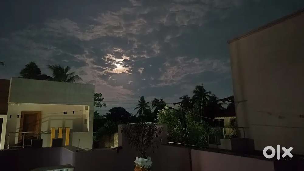 NEED A GIRL FOR MY ROOM