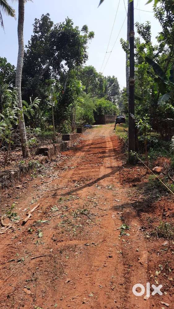 8 cent Residential Plot for sale in Karuvappady, Vellangallur