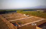 Plot For Sale Urgent