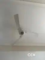 Ceiling fan