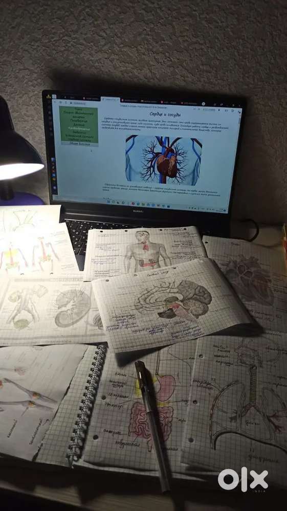 Teaching is my hobby.