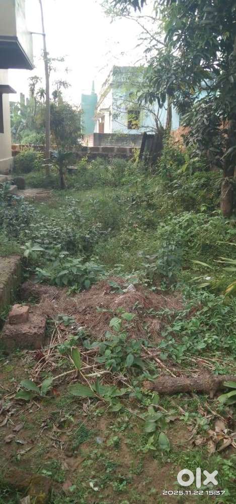 Beautiful Individual Home situated near River in Nimapada