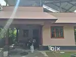 (Family) Independent 2bhk house for rent near pipeline Thrikakkara