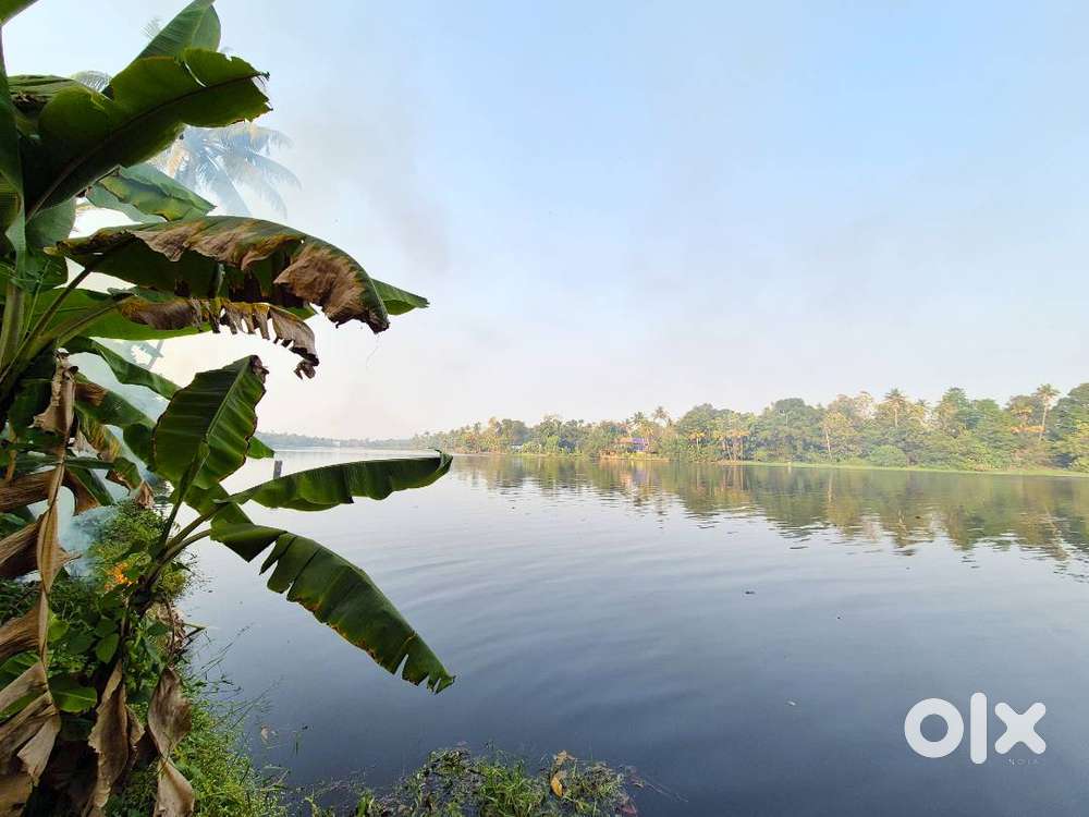 41Cent Waterfront Land with Old House – Varapuzha, Ernakulam