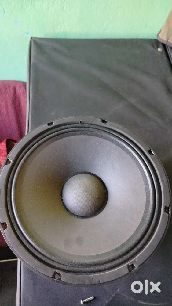 Studio Master 12 inch speaker