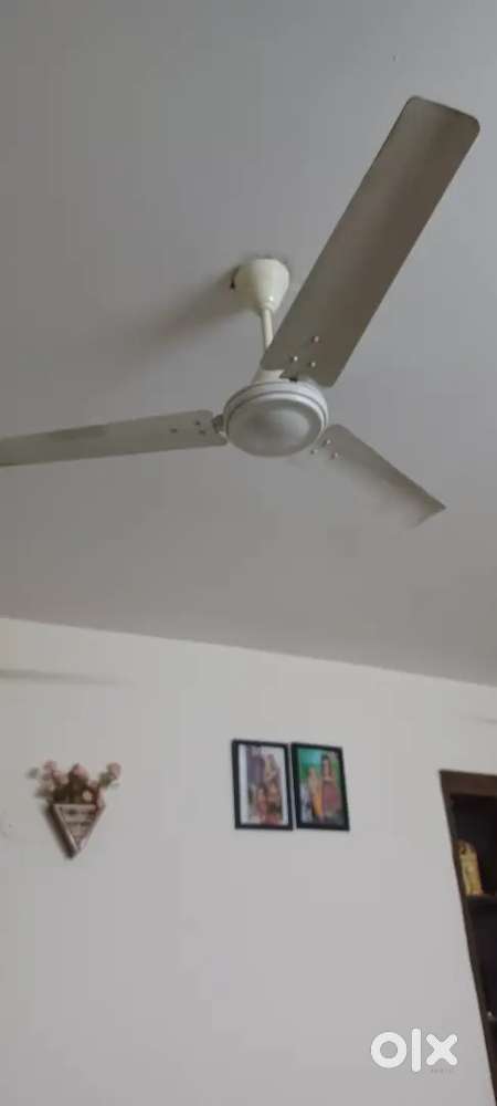 2 celling fans and agaro vacuum cleaner new