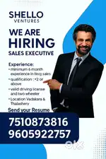 Sales executive