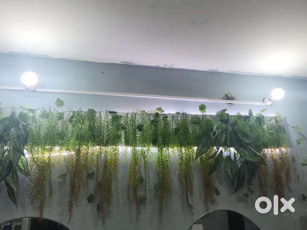 Because going abroad